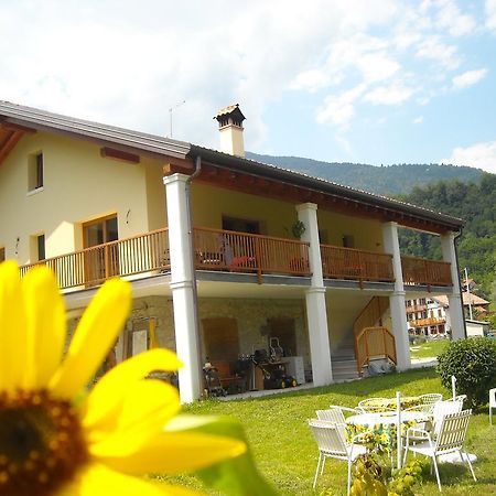Agriturismo Il Girasole 费尔特雷 外观 照片