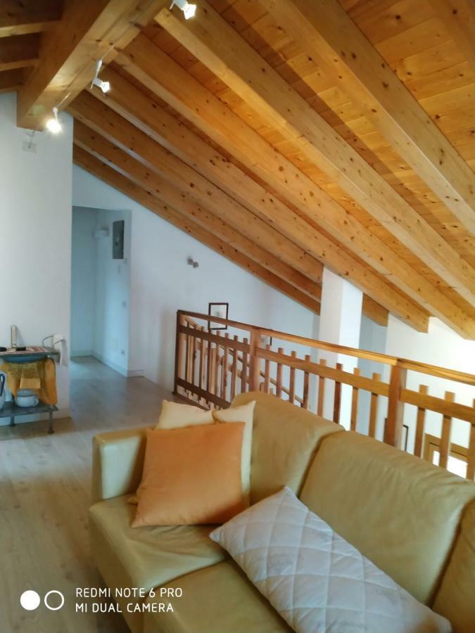 Agriturismo Il Girasole 费尔特雷 外观 照片